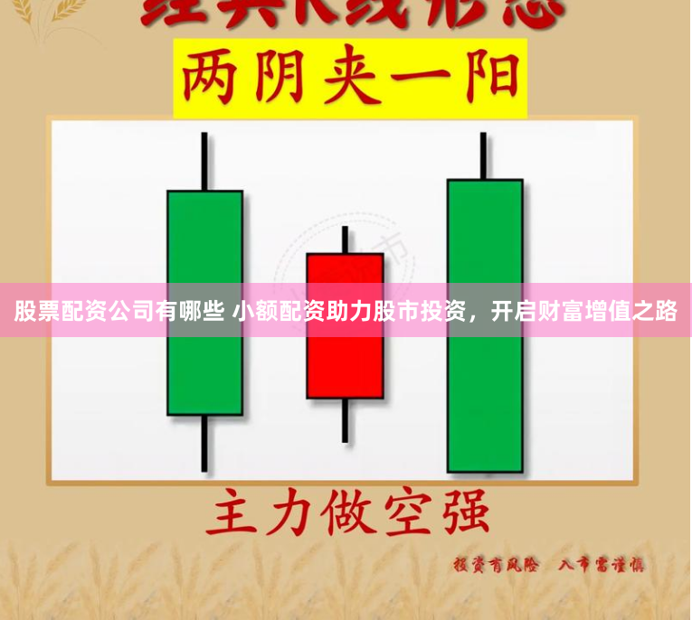 股票配资公司有哪些 小额配资助力股市投资，开启财富增值之路